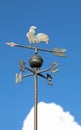 Wind vane for indicating the wind direction with the blue sky ba