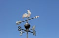 Wind vane to detect the wind direction with the arrow ancd