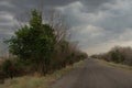 the wind vanishes the branches of trees, the road goes into the distance, the sky is covered with clouds