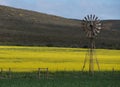 Wind water pump and Canola field Royalty Free Stock Photo