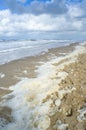 Wind and waves create foam on the beach Royalty Free Stock Photo