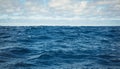 Wind, waves and sky over the waters of the southern ocean off the coast of Africa