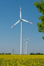 Wind wheels in a rapeseed field Royalty Free Stock Photo