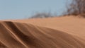 Windblown sand dunes with out of focus plants and blue sky in the background