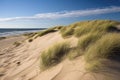 windblown sand dunes, stretching to the horizon Royalty Free Stock Photo