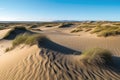 windblown sand dunes, stretching to the horizon