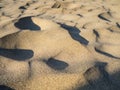 Windblown sand