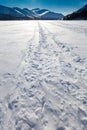 Windblown snowmobile tracks Royalty Free Stock Photo