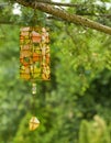 Windchime Royalty Free Stock Photo