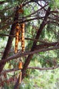 Windchime Royalty Free Stock Photo