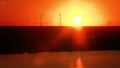 Windfarm in the danube delta at sunset