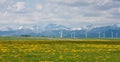 Windfarm at Pincher Creek Royalty Free Stock Photo