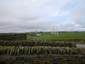 Windfarm viewing lpatrorm with rows of windmills