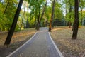 A winding alley in a city park Royalty Free Stock Photo