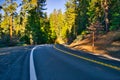 Winding American mountain road in the forest