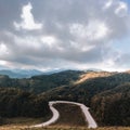 A winding asphalt flat beautiful road in the middle of a green field