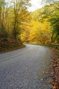 Winding asphalt road through a beautiful autumn colored mixed forest Royalty Free Stock Photo