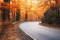 A winding road curves through autumn trees Royalty Free Stock Photo