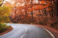 A winding road curves through autumn trees Royalty Free Stock Photo