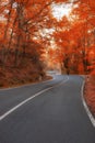 A winding road curves through autumn trees Royalty Free Stock Photo