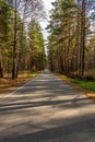 A winding asphalt road passes through a beautiful autumn forest Royalty Free Stock Photo