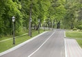 A winding asphalt road and a sidewalk for pedestrians through the park with a number of beautiful vintage lamps Royalty Free Stock Photo