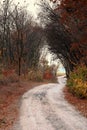 Winding autumn path leading through the forest to the river.