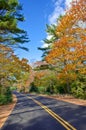 Winding autumn road