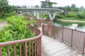 Winding Boardwalk