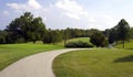 Winding Cart Path