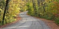 Winding country road Royalty Free Stock Photo