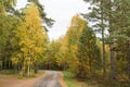 Winding country road through a fall colored forest Royalty Free Stock Photo