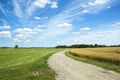 Winding country road, grain and meadow, horizon and white clouds on a blue sky Royalty Free Stock Photo