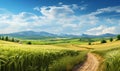 A winding country road between hills and fields of wheat.