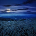 winding country road on a hillside near the forest at night Royalty Free Stock Photo