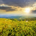 winding country road on a hillside near the forest at sunset Royalty Free Stock Photo