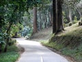 A winding country road leads through a shady forest in northern Thailand