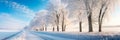 A winding country road lined with snow-covered trees, their branches heavy with glistening icicles. Royalty Free Stock Photo