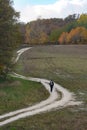 A winding country road, lonely traveler Royalty Free Stock Photo