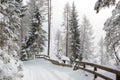 Winding country road in the mountains during snowfall  near Sterzing/ Vipiteno South Tyrol, Dolomites,  northern Italy Royalty Free Stock Photo