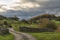 A winding country road passing through Rural autumn meadow and trees.