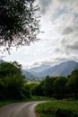 Winding country road surrounded by lush trees and majestic mountains in the backdrop. Asturias. Royalty Free Stock Photo