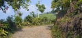 Winding country roads surrounded by natural green tea farms Royalty Free Stock Photo