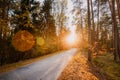 Winding Countryside Road Path Walkway Through Autumn Forest. Sun Royalty Free Stock Photo