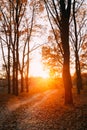 Winding Countryside Road Path Walkway Through Autumn Forest. Sun Royalty Free Stock Photo