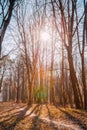 Winding Countryside Road Path Walkway Through Autumn Forest. Sun Royalty Free Stock Photo