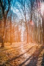 Winding Countryside Road Path Walkway Through Autumn Forest. Sun Royalty Free Stock Photo