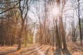 Winding Countryside Road Path Walkway Through Autumn Forest. Sun Royalty Free Stock Photo