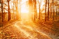 Winding Countryside Road Path Walkway Through Autumn Forest. Sunset Sunrise Royalty Free Stock Photo