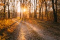 Winding Countryside Road Path Walkway Through Autumn Forest. Sunset Royalty Free Stock Photo